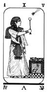 Tarot Card