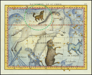Canis Minor - The Little Dog