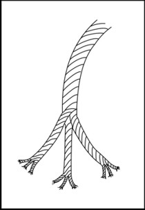 Inken Rope Language light.org | Language and the Value of Dreams