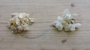 Boswellian and Al Hojar Frankincense