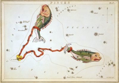 Pisces Constellation