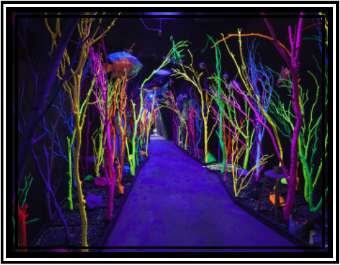 Meow Wolf House of Eternal Returns